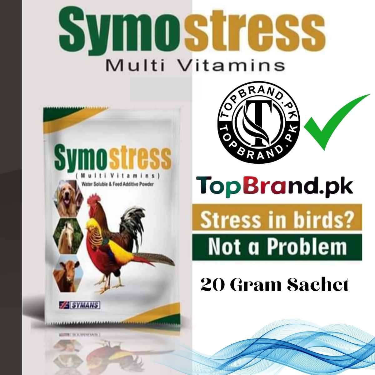 Symostress Multivitamin
Bird and Animal Supplements
Stress Relief for Animals
Multivitamin for Poultry
Fancy Bird Multivitamin
Vitamin Boost for Livestock
Animal Health Supplement
Immunity Support for Birds
Stress Management for Animals
Growth Enhancer for Animals