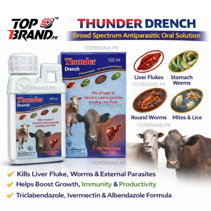 Thunder Deworming Drench
