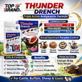 Thunder Deworming Drench