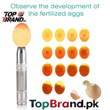 Stainless Steel Egg Candling Torch - Single Piece Candle Torch