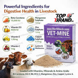 Vet-Mine 500g