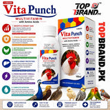 Vita Punch 100ml Poultry Multivitamin & Amino Acids for Birds