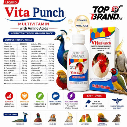 Vita Punch 100ml Poultry Multivitamin & Amino Acids for Birds