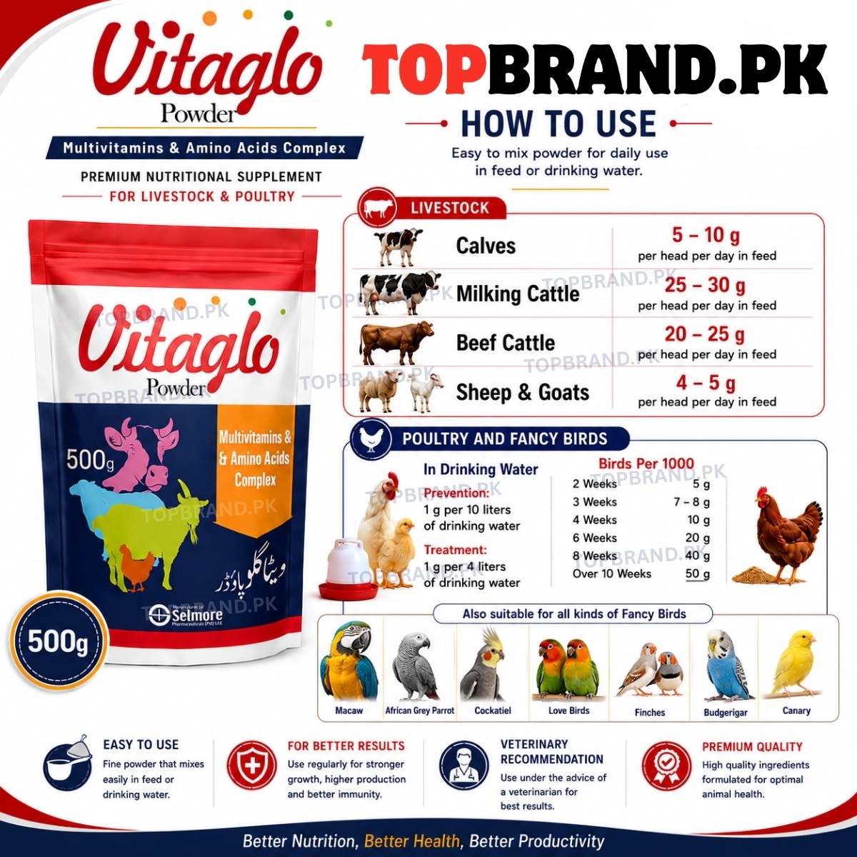 Vitaglo Powder 500g Multivitamins & Amino Acids