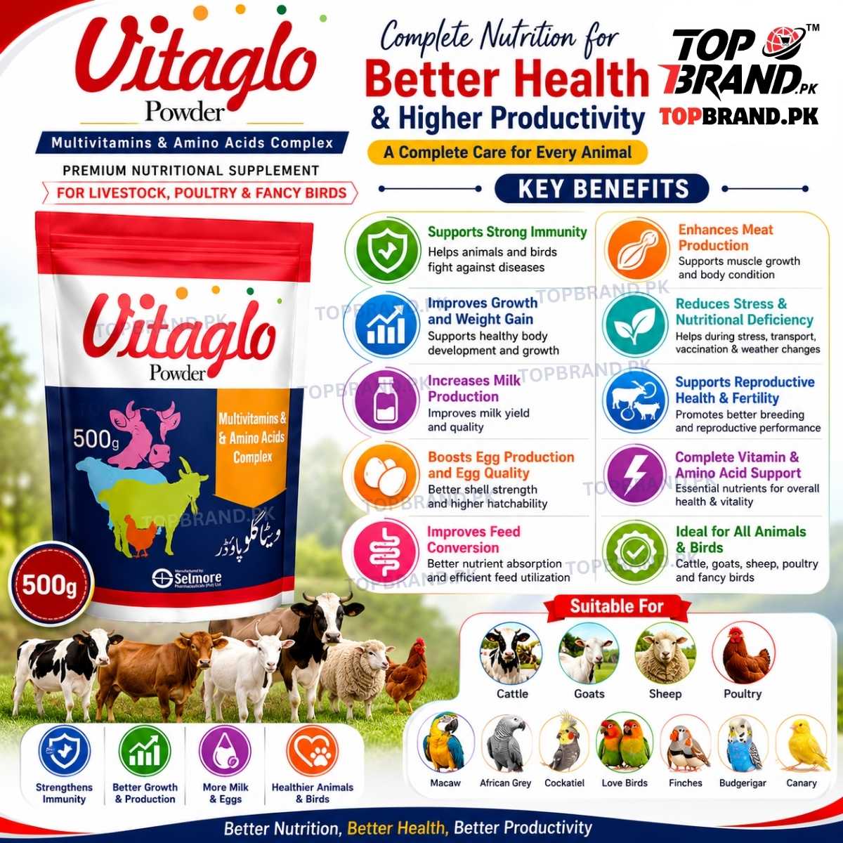 Vitaglo Powder 500g Multivitamins & Amino Acids