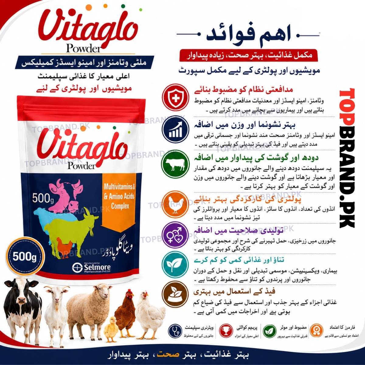 Vitaglo Powder 500g Multivitamins & Amino Acids