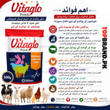 Vitaglo Powder 500g Multivitamins & Amino Acids