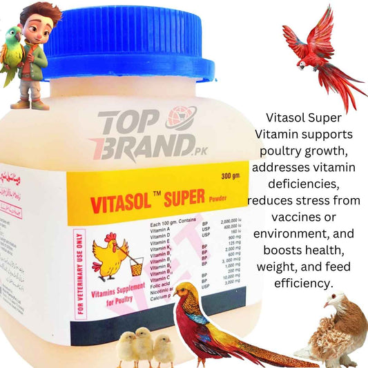 Vitasol Super Multivitamins Powder for Birds – Essential Nutrition for Poultry & Fancy Birds