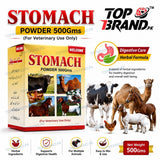 Welcome Stomach Powder 500g (Hazma Masala)