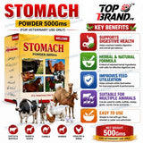 Welcome Stomach Powder 500g (Hazma Masala)