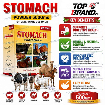 Welcome Stomach Powder 500g (Hazma Masala)