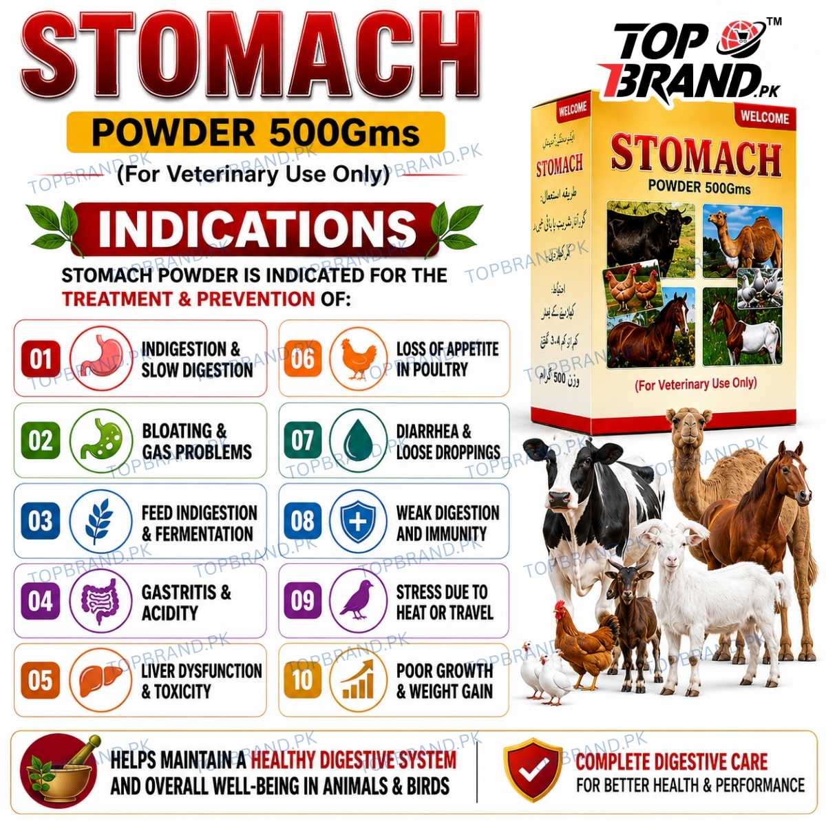 Welcome Stomach Powder 500g (Hazma Masala)