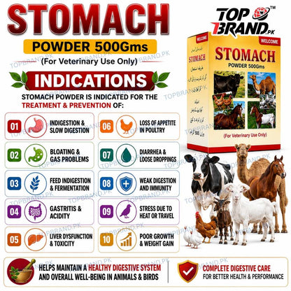 Welcome Stomach Powder 500g (Hazma Masala)