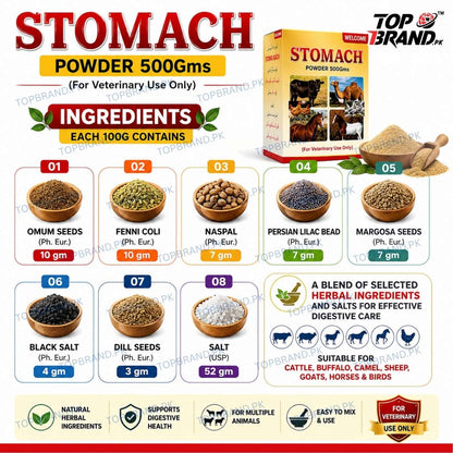 Welcome Stomach Powder 500g (Hazma Masala)
