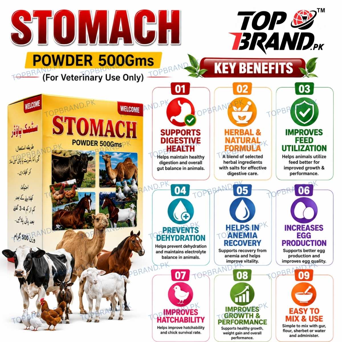 Welcome Stomach Powder 500g (Hazma Masala)