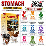 Welcome Stomach Powder 500g (Hazma Masala)