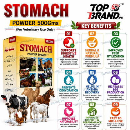 Welcome Stomach Powder 500g (Hazma Masala)