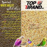 Premium White Millet Seeds | Bareek Kangni | Desi Kangni for Birds