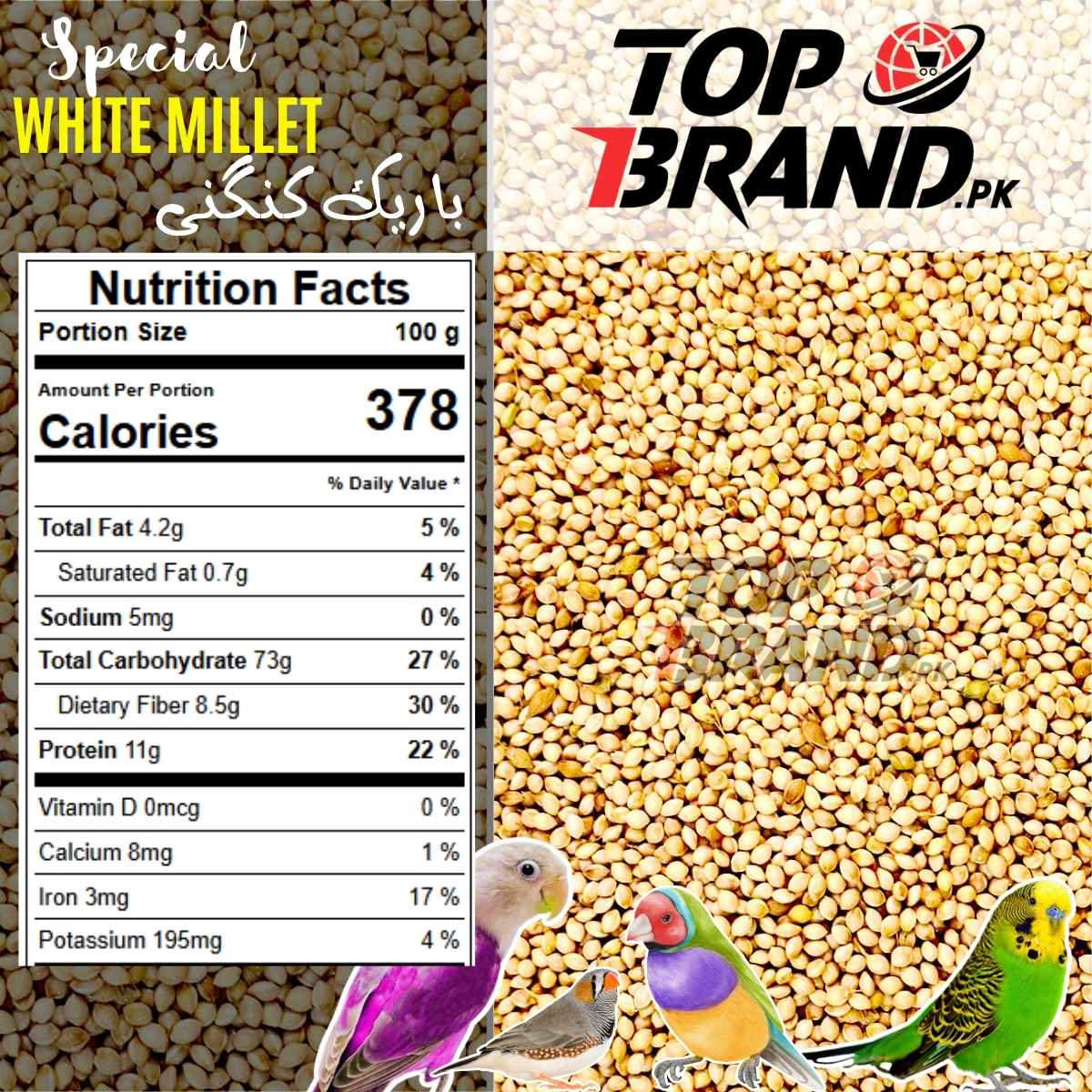 Premium White Millet Seeds | Bareek Kangni | Desi Kangni for Birds