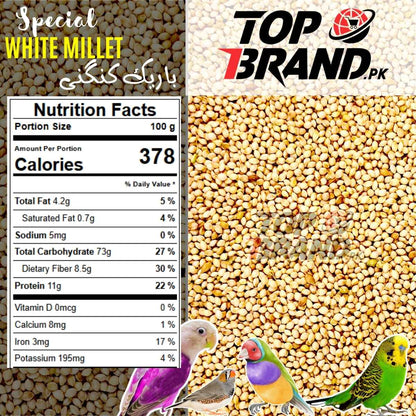 Premium White Millet Seeds | Bareek Kangni | Desi Kangni for Birds