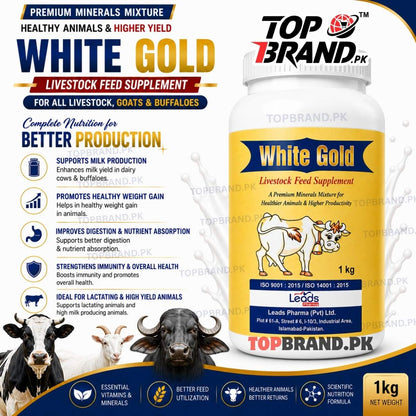 Vitamins for milk production  Minerals Mixture for live stock  Minerals Mixture for goat Minerals Mixture for cows Minerals Mixture Minerals for Cow Milton milk yield booster for cows milk production booster for Goat milk production booster for cows milk production booster for Buffalo milk booster meat growth supplement for  LIvestock meat gainer for qurbani janwar Livestock Minerals Mixture 
livestock growth supplement increase milk production in cows 