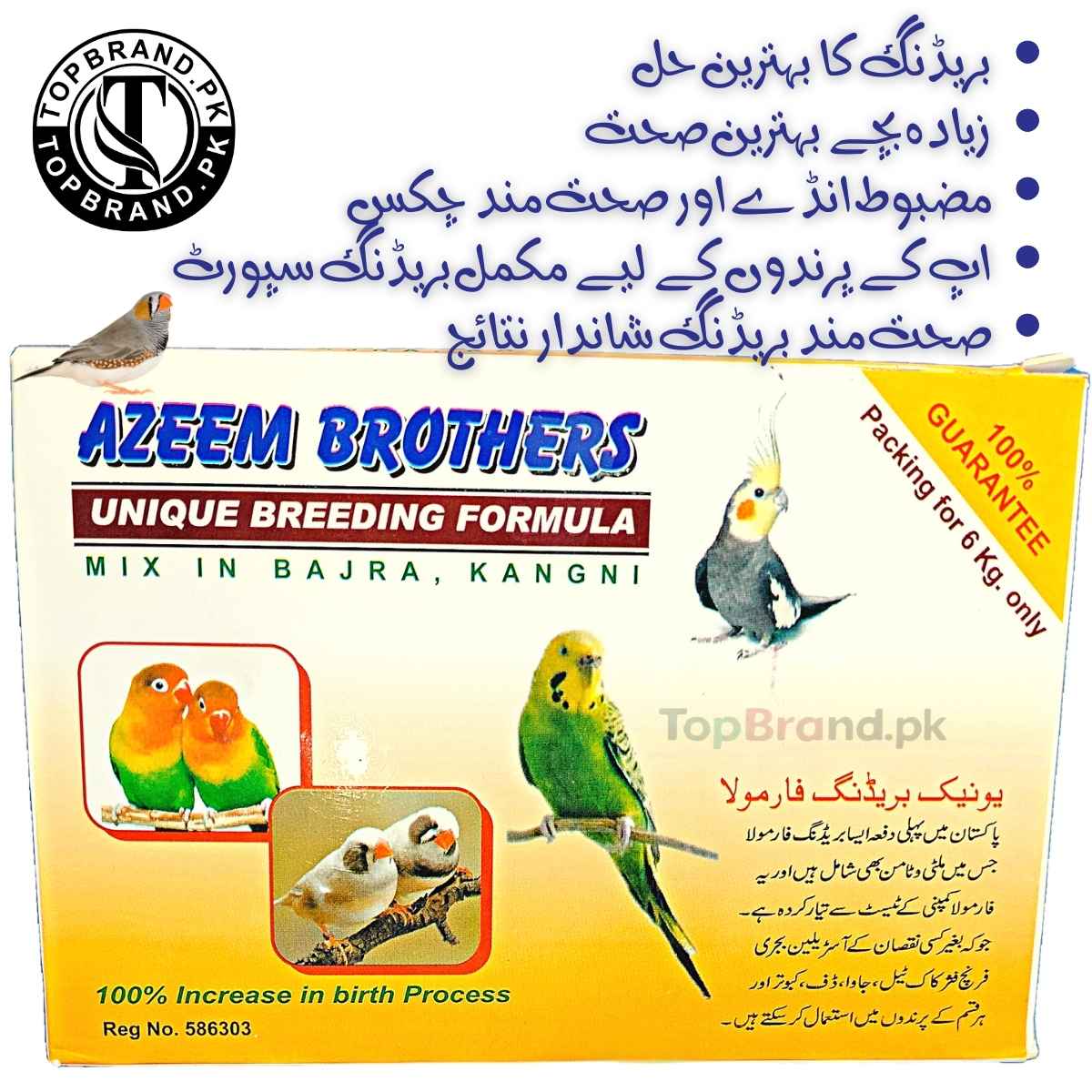 Bird Breeding Formula
Fertility Boost for Birds
Eggshell Strength Supplement
Breeding Supplements for Parrots
Fancy Bird Breeding Support
Unique Bird Nutrition Formula
Breeding Success for Birds
Vitamins for Bird Fertility
Bird Reproductive Health Formula
Nutritional Boost for Breeding Birds