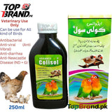 Advance Colisol - Antibecterial Medicine for Birds
