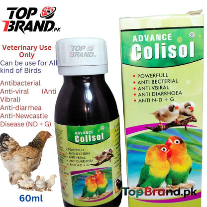 Advance Colisol - Antibecterial Medicine for Birds