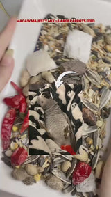 Large Parrot Feed, Like Macow Feed, Green Parrot Feed, African Grey Feed